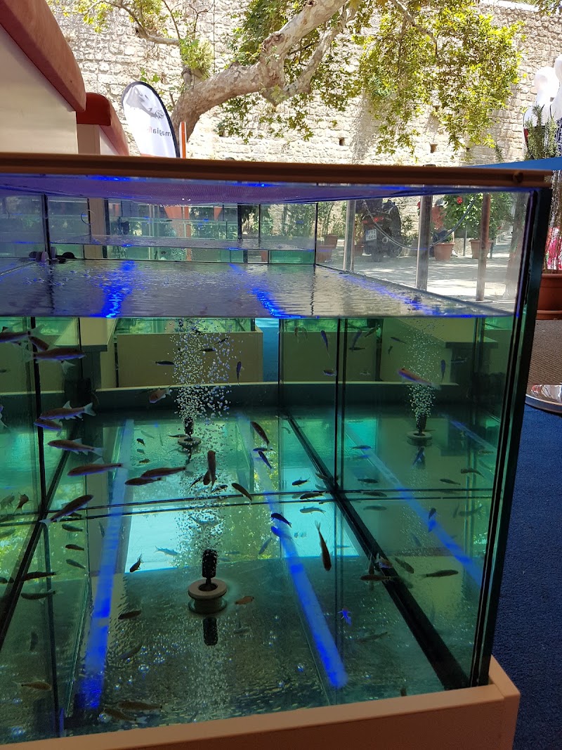 Magia Fish Spa, spa in Rodos, Greece, photo 1 of 10